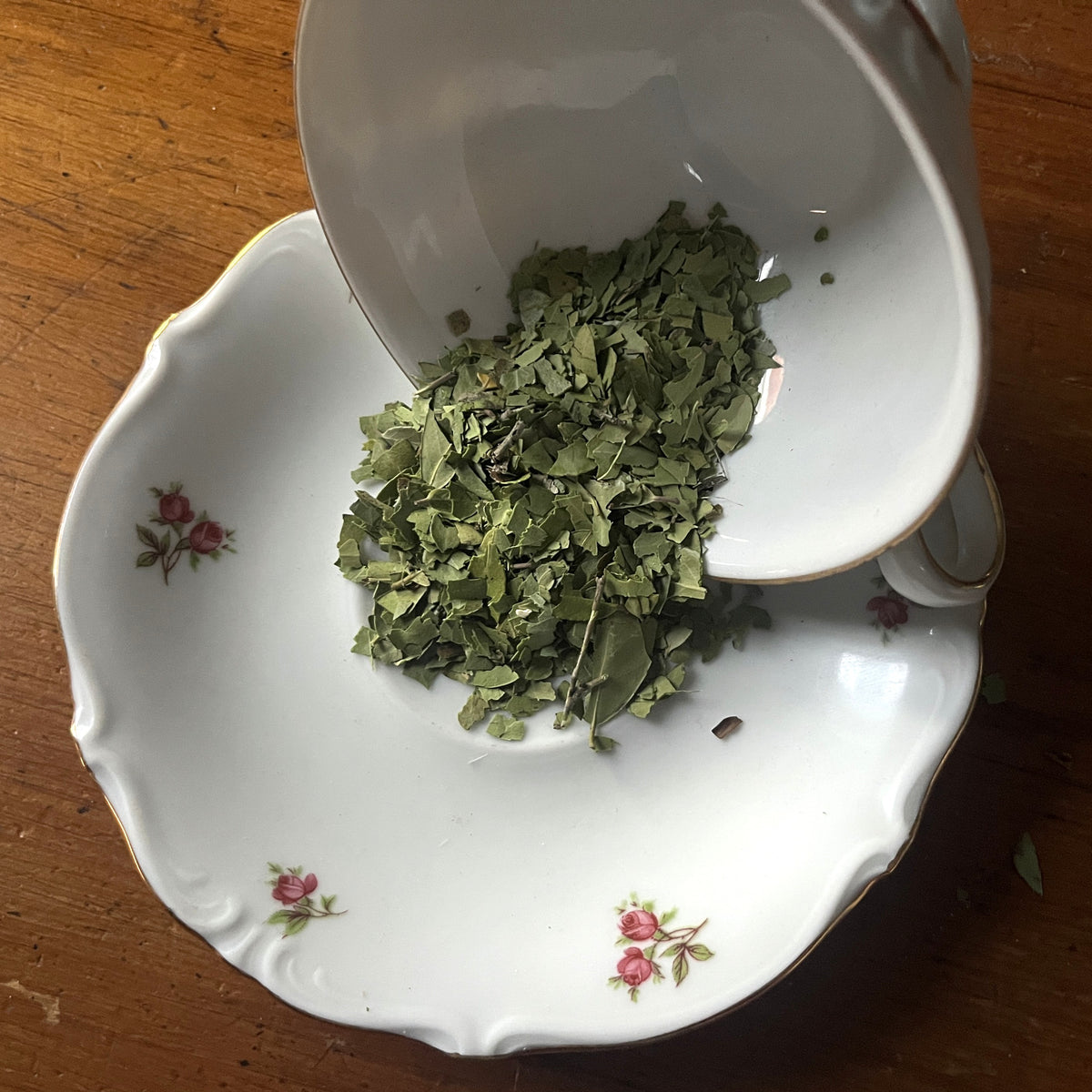 Unroasted yaupon tea leaves
